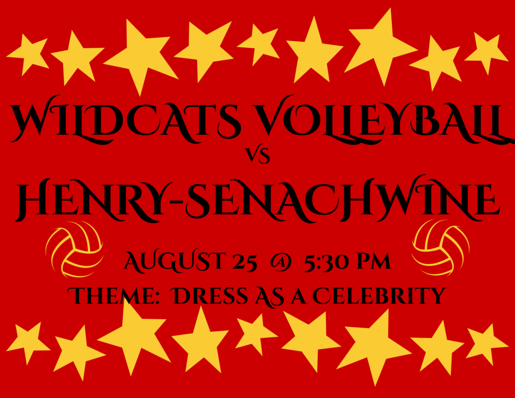 Wildcats Volleyball vs Henry-Senachwine