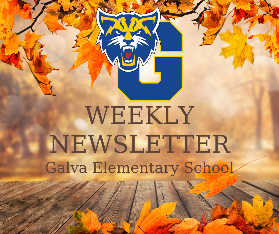 Weekly Newsletter