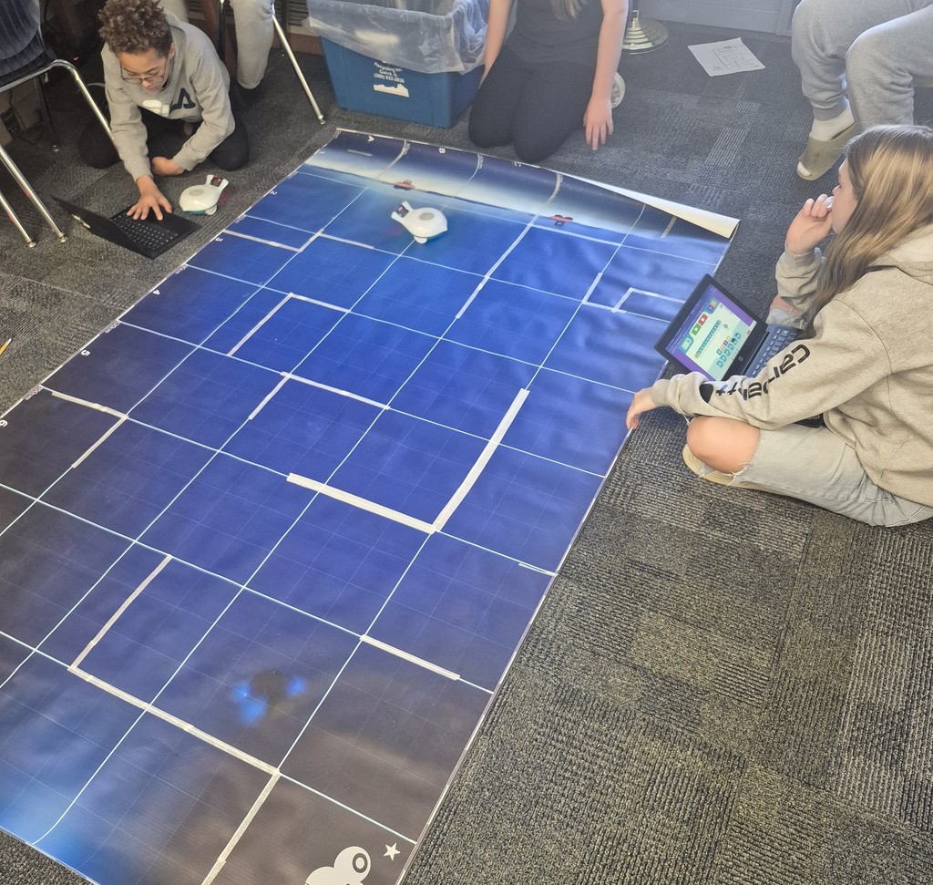 Student working with Finch Robots