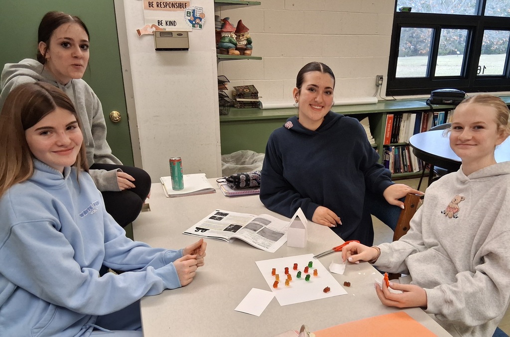 students make gummy bear governments