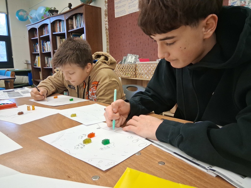 students make gummy bear governments