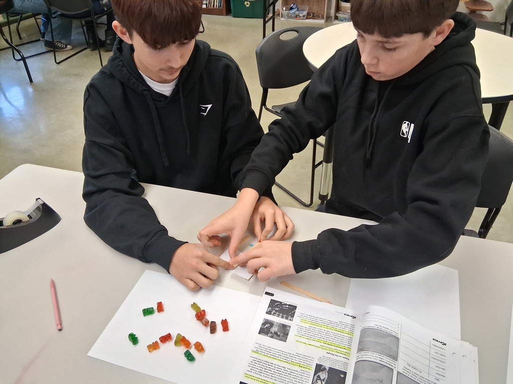 students make gummy bear governments