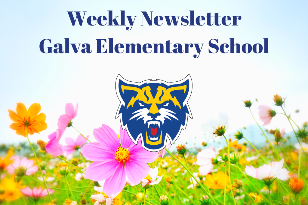 Weekly Newsletter