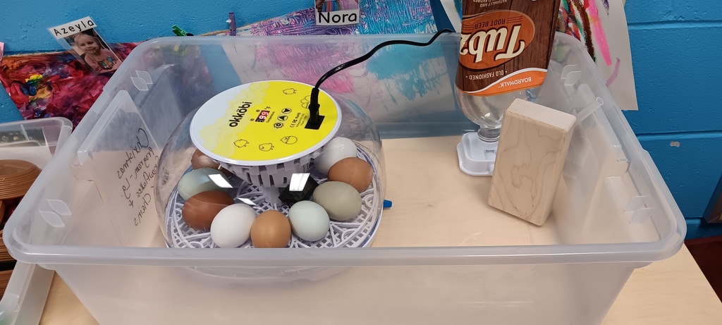 Day one- Pre K will be spending the next few weeks observing to see if our eggs will hatch any baby chicks.  