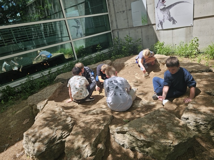 Dino dig