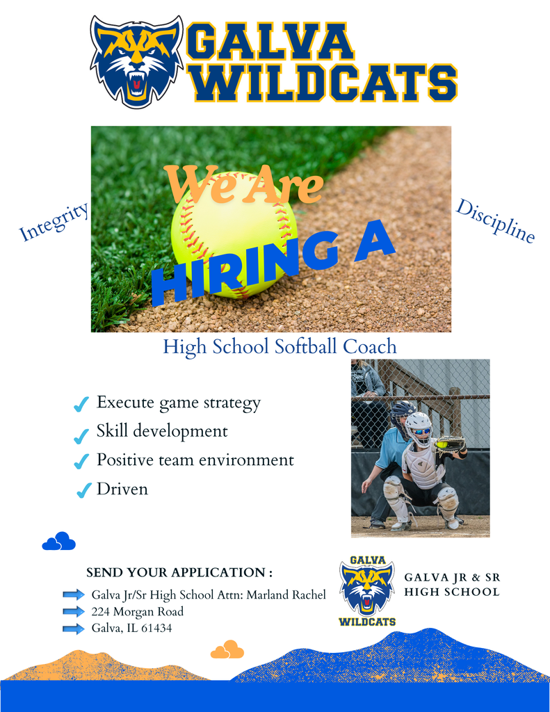 Softball coach flyer