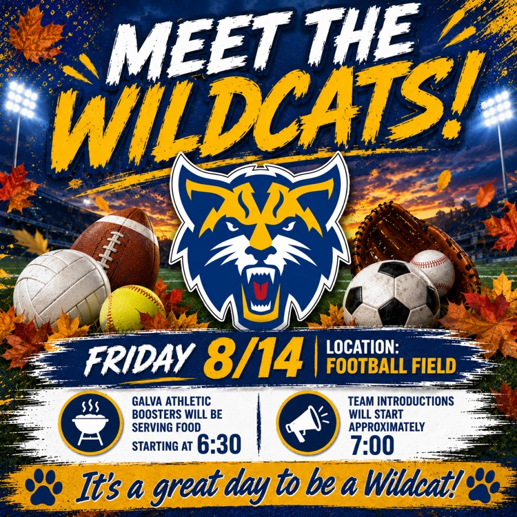 Meet the Cats