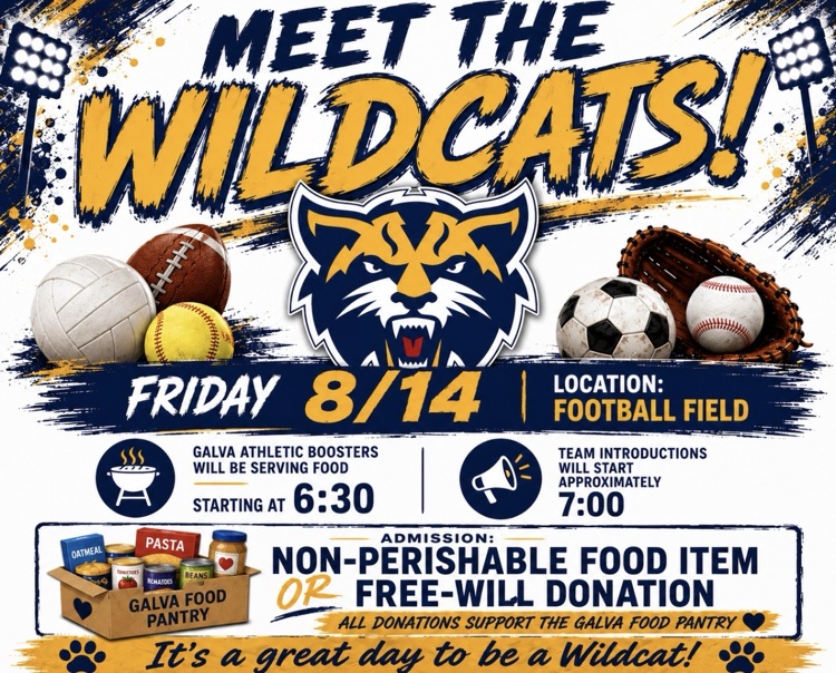 meet the cats