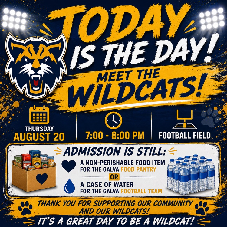 meet the cats 
