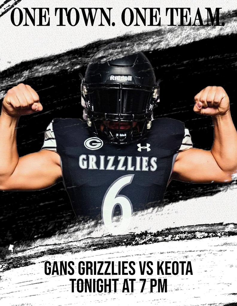 Gansfootball