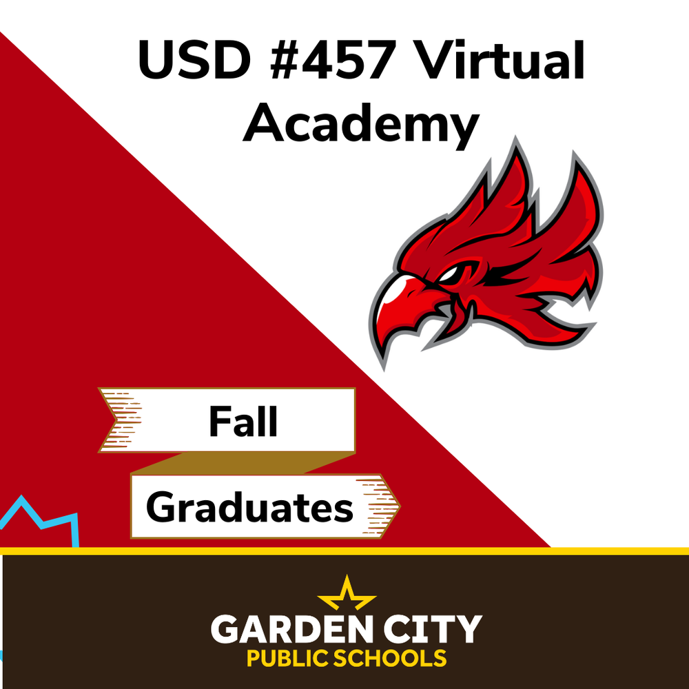 Virtual Academy 