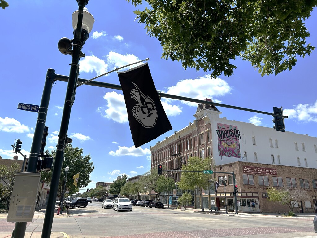 Flags on Main Street 