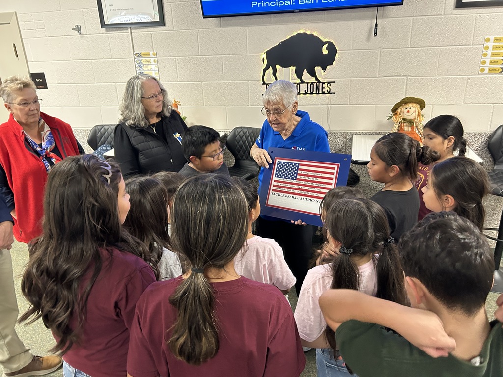 Braille Flags at schools 