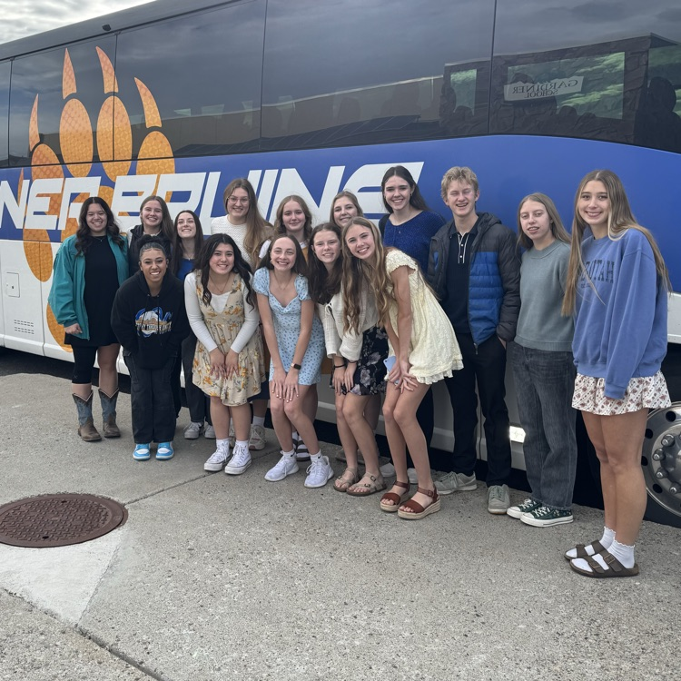 volleyball heading to state