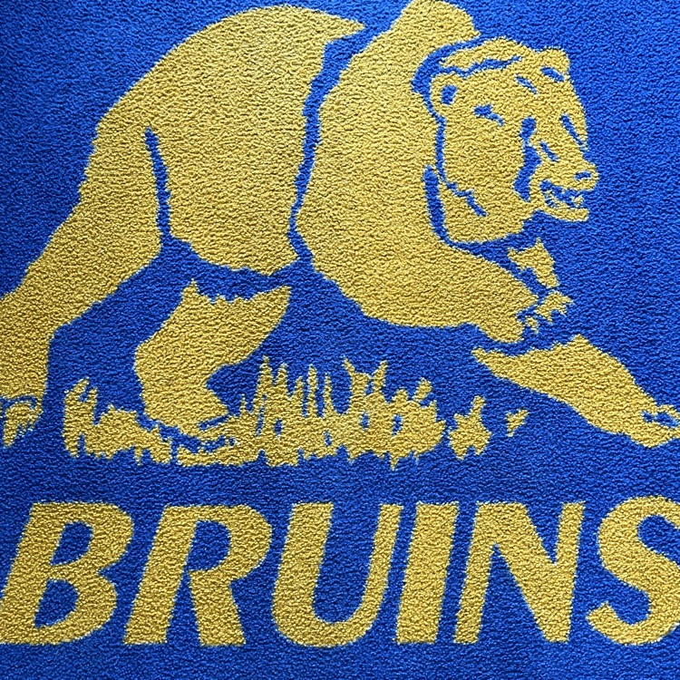 bruins