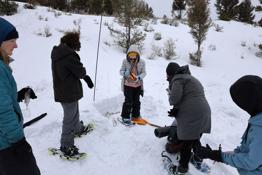 Students collecting data on snow