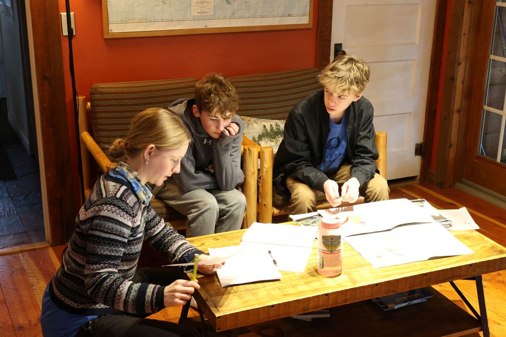 Students researching