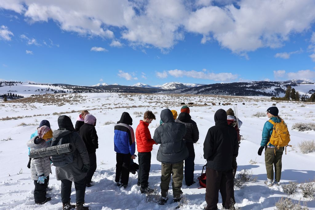 Students watching a bison heard in the distance.
