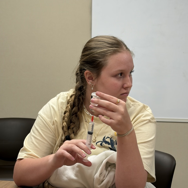 Healthcare Career Day