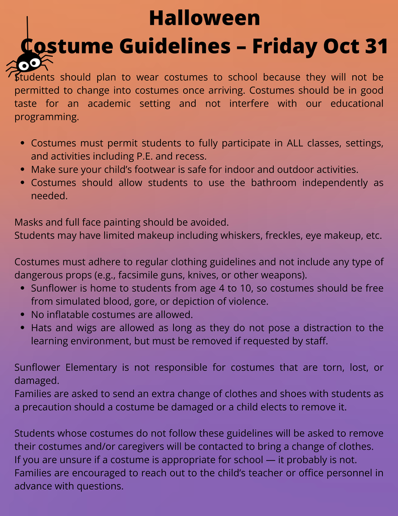 Costume Guidelines