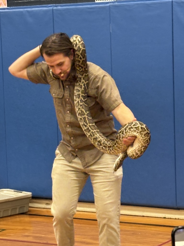 A medium shot of a male presenter with long brown hair, wearing a tan short-sleeved button-down and khakis, standing in a gym. A large Burmese python is draped over his neck and shoulders; he is leaning forward slightly, supporting the heavy weight of the snake's coiled lower body with his left hand while reaching up toward his head with his right. The background features a solid blue padded wall and a polished wooden gymnasium floor.