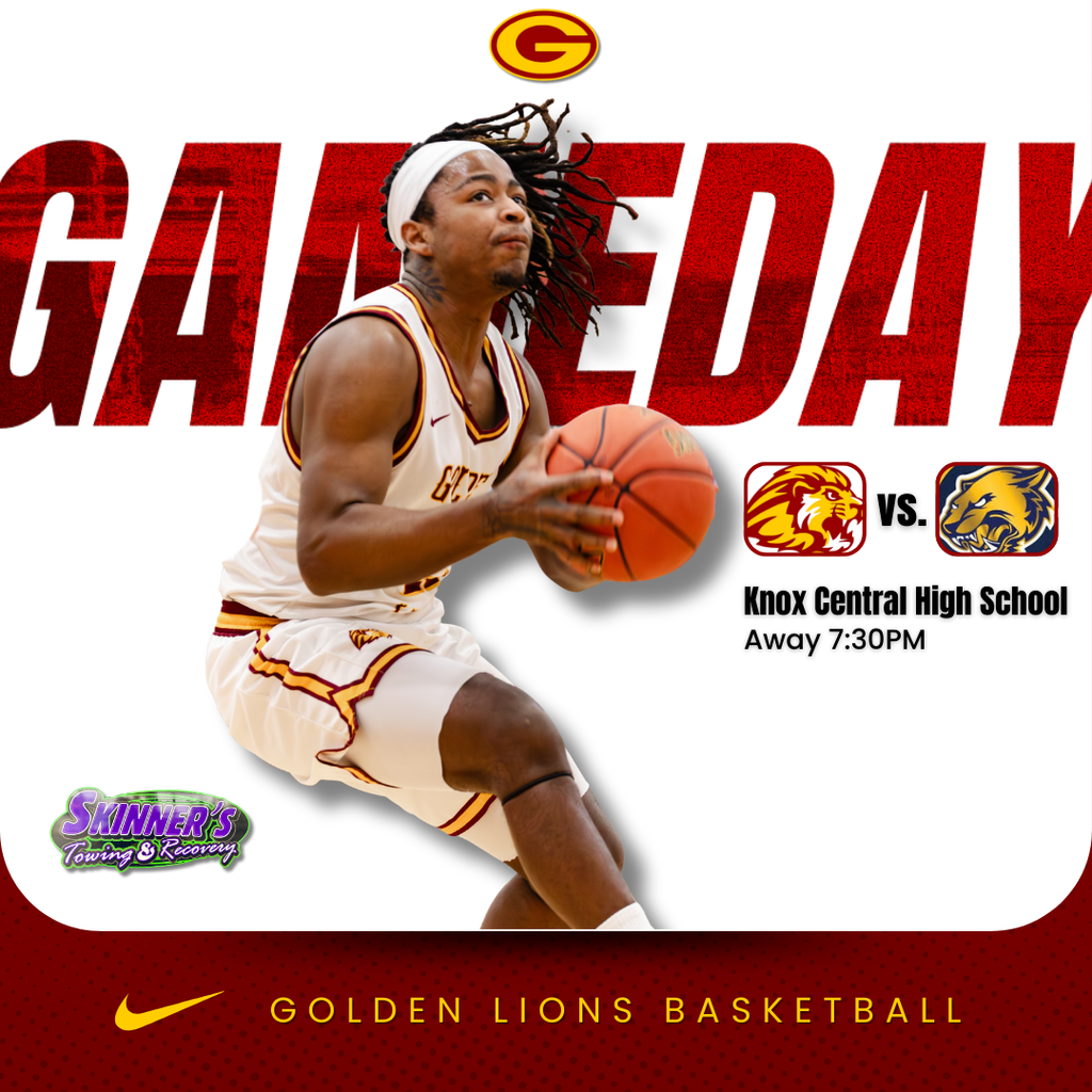 Golden Lions Basketball