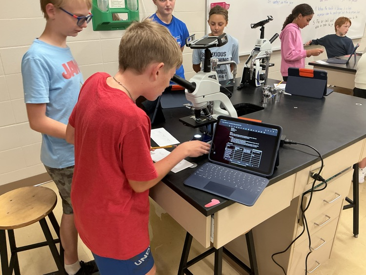 7th graders look at paramecium in the brand new microscopes.