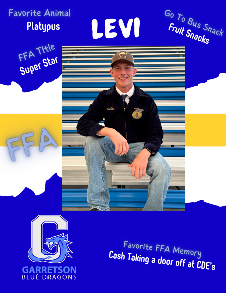 Senior Activity Spotlight