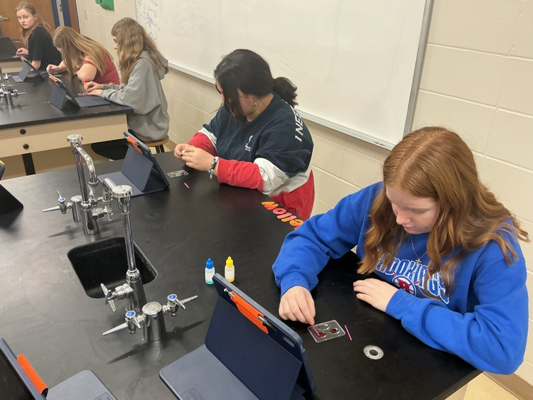 Aila and Athena testing their patients “blood”.