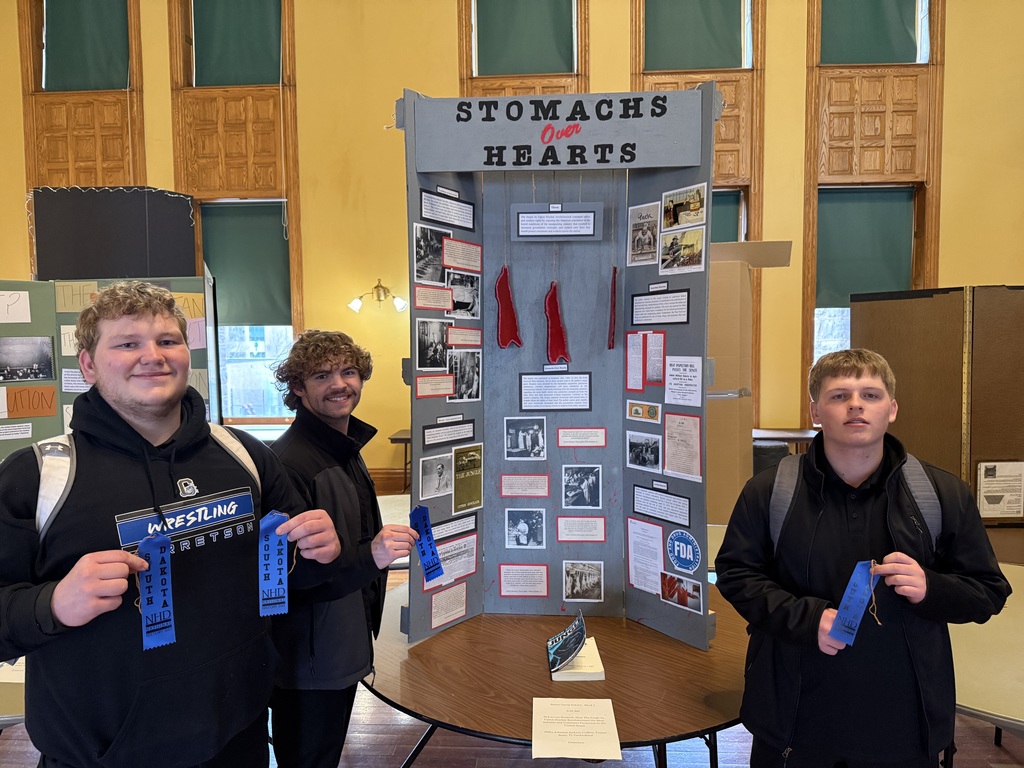 Group Exhibit over the Jungle