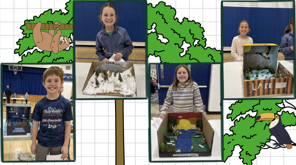 diorama 7