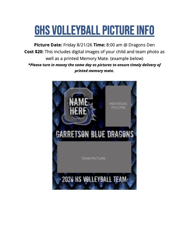 Volleyball Picture Flyer