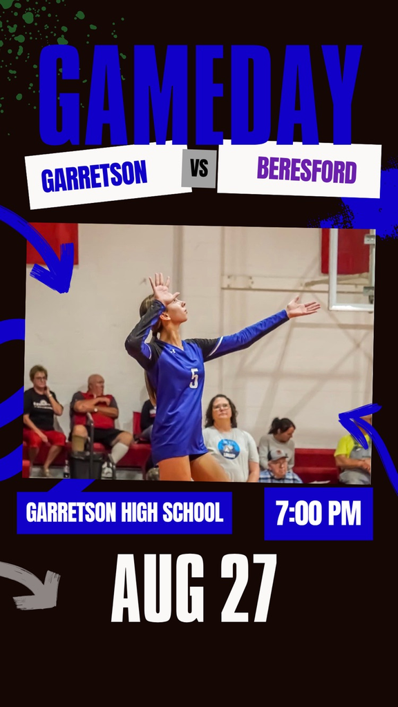 volleyball game