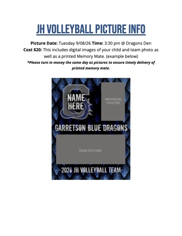 Volleyball Flyer