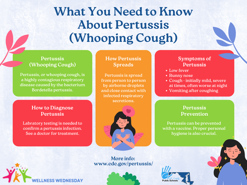 Graphic highlighting what you need to know about Pertussis, as detailed in the text.