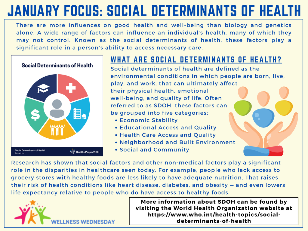 Infographic highlighting the social determinants of health, as detailed in the text.