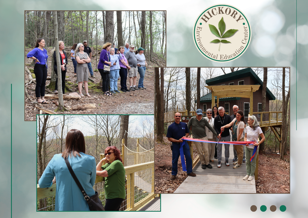 Collage of images from the Hickory Tree Canopy Observation Area ribbon cutting ceremony.