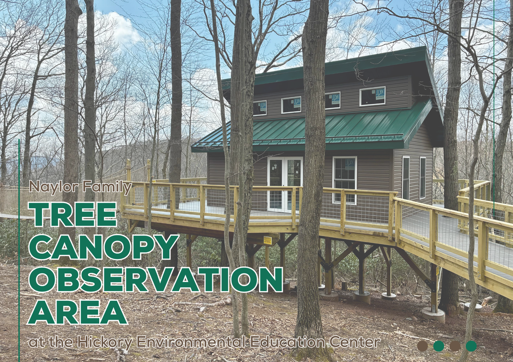 Collage of images from the Hickory Tree Canopy Observation Area ribbon cutting ceremony.