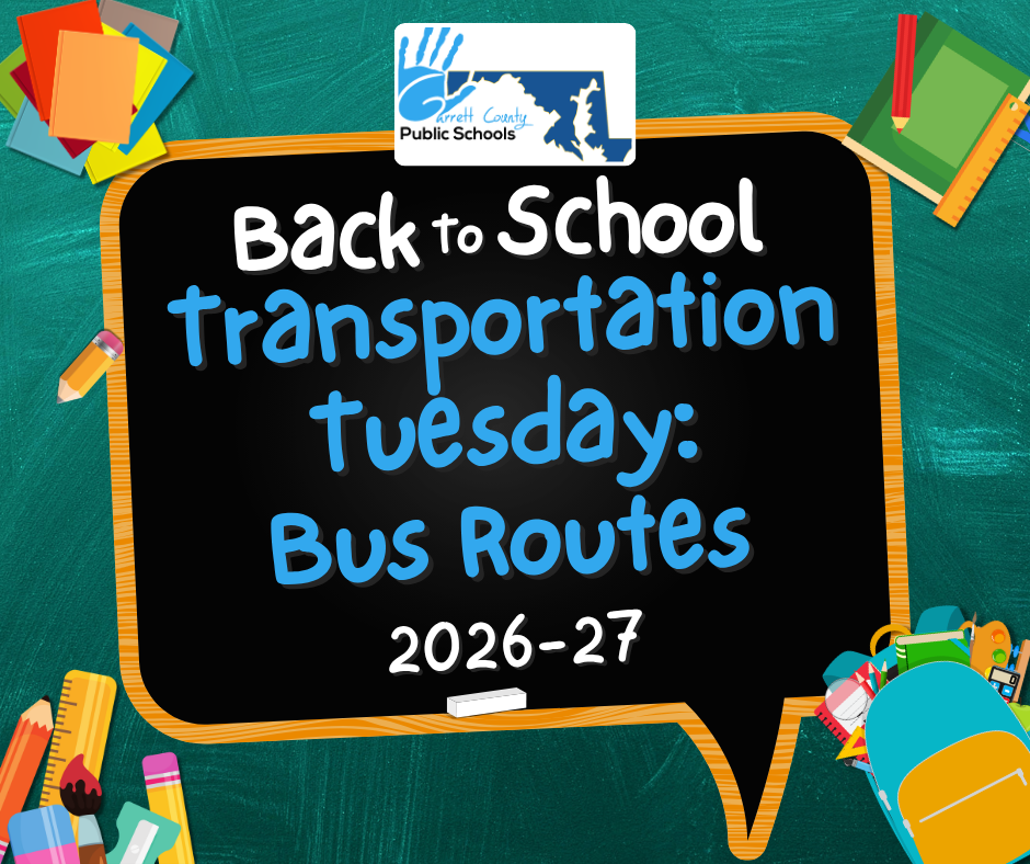 Decorative graphic highlighting bus routes, as detailed in the text.