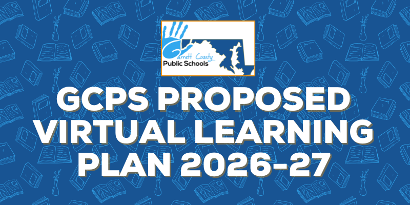 Graphic highlighting the proposed virtual learning plan, as detailed in the text.