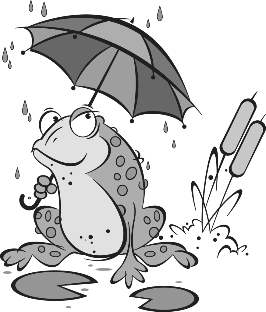 rain