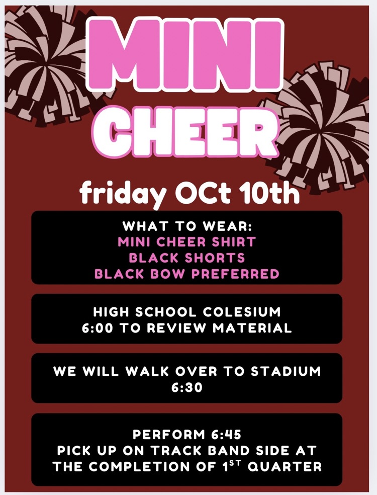 mini cheer
