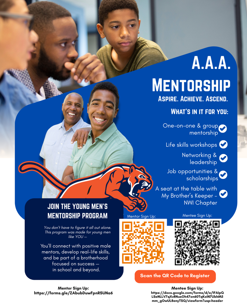 AAA Mentorship Flyer