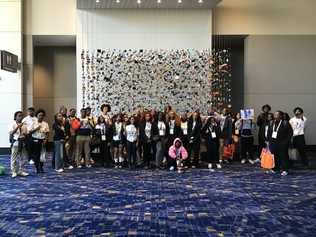stem field experience pic