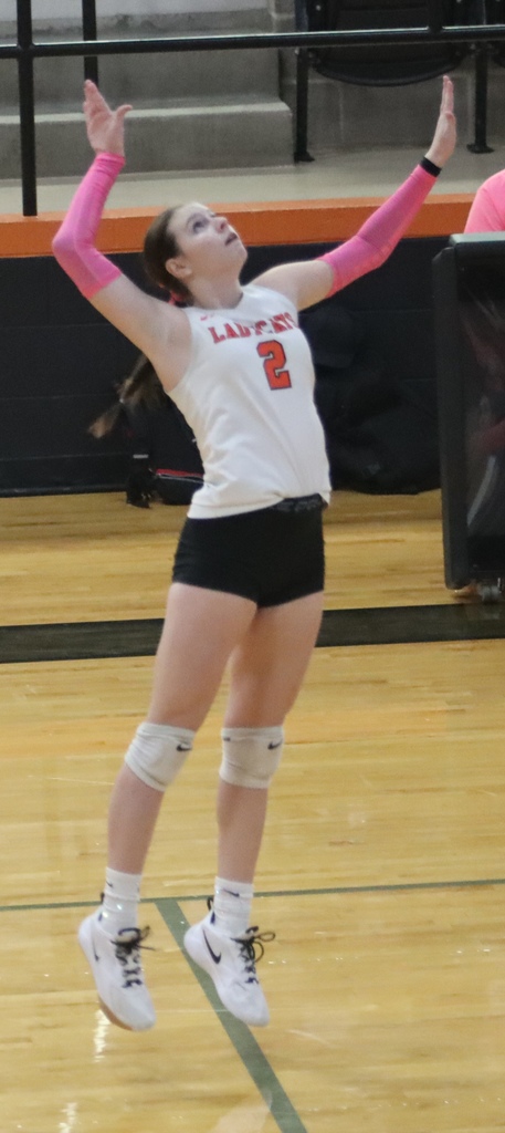 Colee Honorable Mention and All Academic