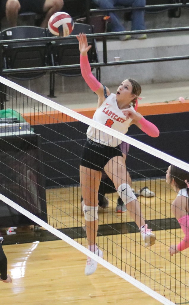 Kyleigh All Team and All Academic