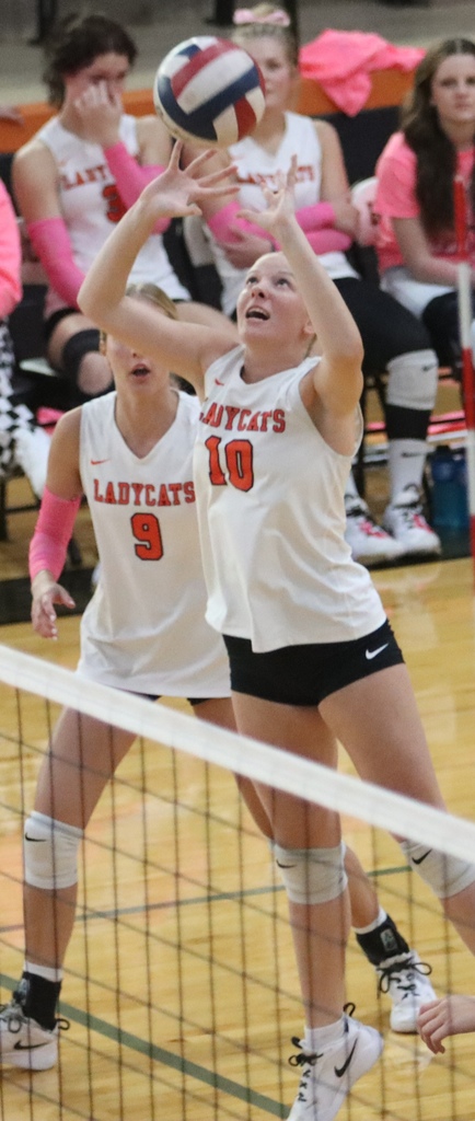 Molly Honorable Mention and All Academic