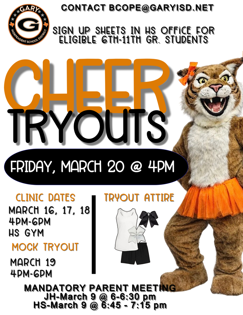 CHEERS TRYOUT POSTER (2)
