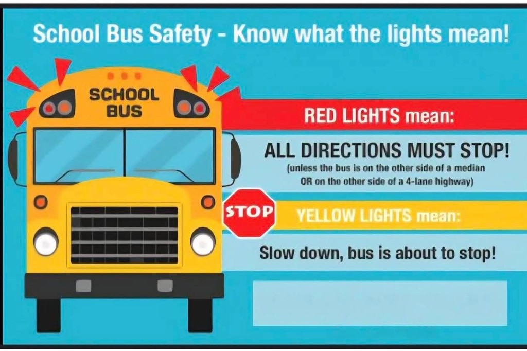 Bus Safety