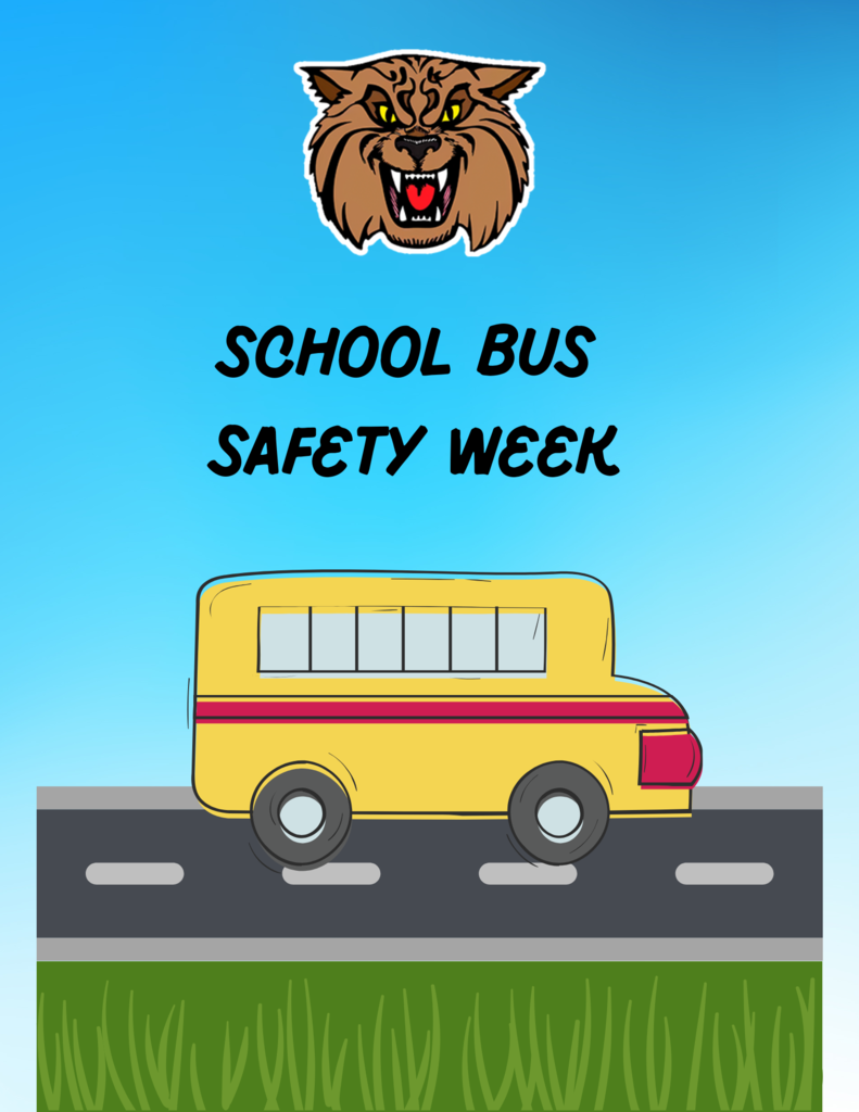 School Bus Safety Graphic